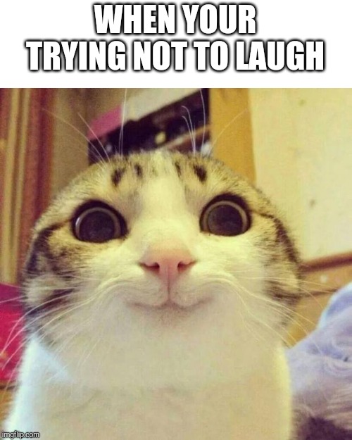Smiling Cat Meme | WHEN YOUR TRYING NOT TO LAUGH | image tagged in memes,smiling cat | made w/ Imgflip meme maker