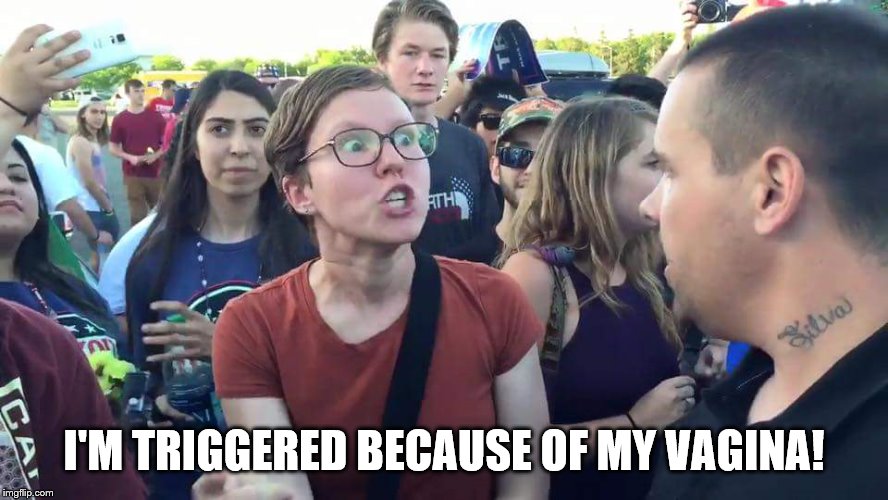 Triggered Feminazi | I'M TRIGGERED BECAUSE OF MY VA**NA! | image tagged in triggered feminazi | made w/ Imgflip meme maker