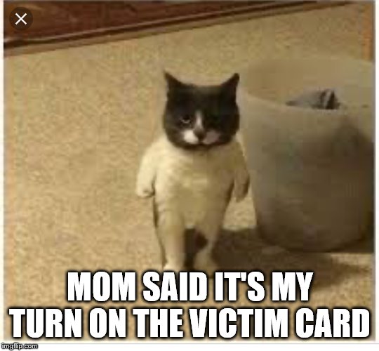 Mom said it’s my turn | MOM SAID IT'S MY TURN ON THE VICTIM CARD | image tagged in mom said its my turn | made w/ Imgflip meme maker