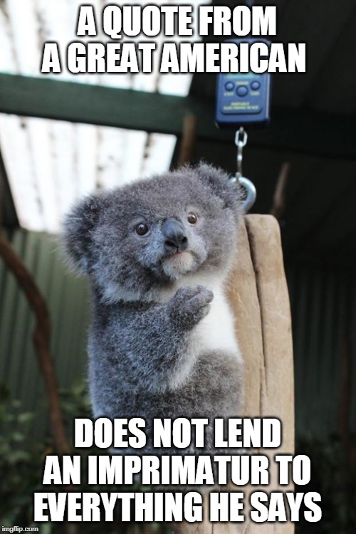 Baby Koala italian gesture | A QUOTE FROM A GREAT AMERICAN DOES NOT LEND AN IMPRIMATUR TO EVERYTHING HE SAYS | image tagged in baby koala italian gesture | made w/ Imgflip meme maker