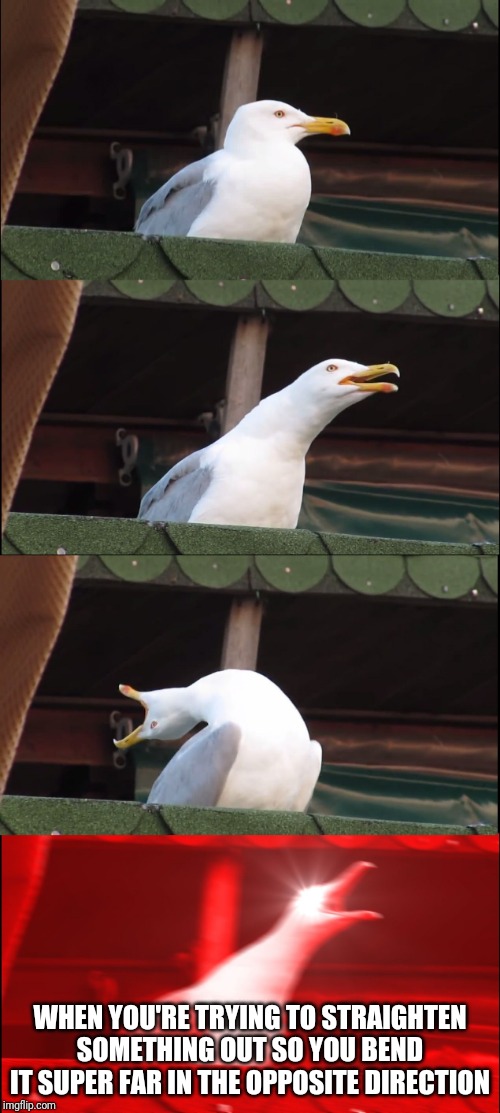 Bending spoonbills | WHEN YOU'RE TRYING TO STRAIGHTEN SOMETHING OUT SO YOU BEND IT SUPER FAR IN THE OPPOSITE DIRECTION | image tagged in memes,inhaling seagull,bend,life hack,straighten,real life | made w/ Imgflip meme maker