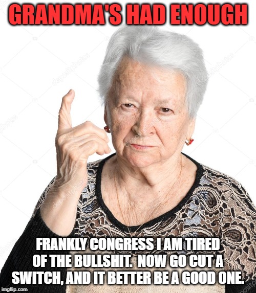 Old Woman | GRANDMA'S HAD ENOUGH; FRANKLY CONGRESS I AM TIRED OF THE BULLSHIT.  NOW GO CUT A SWITCH, AND IT BETTER BE A GOOD ONE. | image tagged in old woman | made w/ Imgflip meme maker