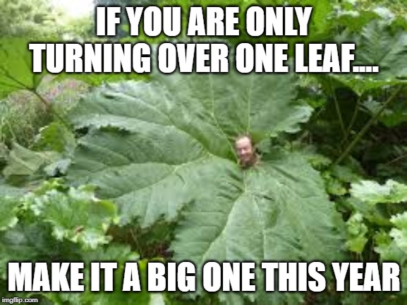 New year resolution | IF YOU ARE ONLY TURNING OVER ONE LEAF.... MAKE IT A BIG ONE THIS YEAR | image tagged in funny,funny memes | made w/ Imgflip meme maker