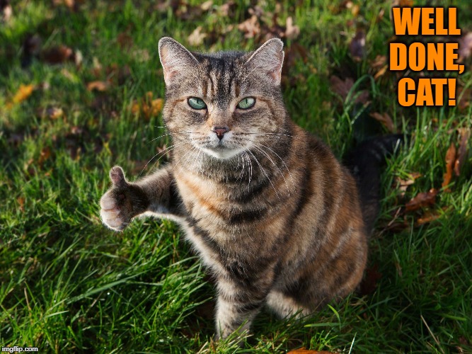 THUMBS UP CAT | WELL DONE, CAT! | image tagged in thumbs up cat | made w/ Imgflip meme maker