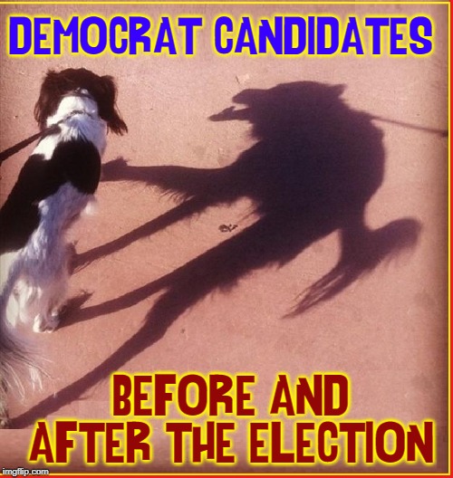 America's the Boy who Cried Wolf, or deep state. Invisible to you -right there, to us | DEMOCRAT CANDIDATES; BEFORE AND AFTER THE ELECTION | image tagged in vince vance,democrats,presidential candidates,promises,dogs,shadow | made w/ Imgflip meme maker