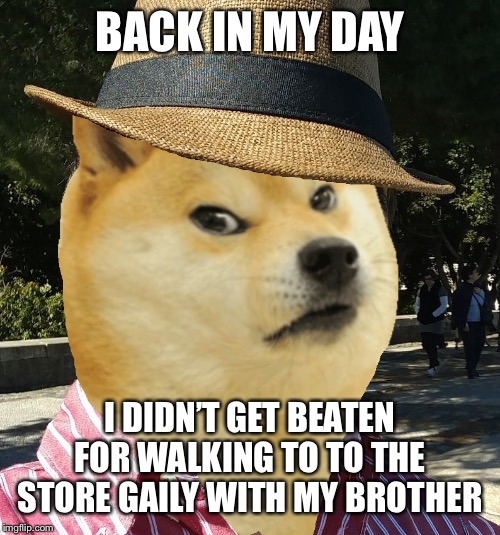 manuel doge angry | BACK IN MY DAY; I DIDN’T GET BEATEN FOR WALKING TO TO THE STORE GAILY WITH MY BROTHER | image tagged in manuel doge angry | made w/ Imgflip meme maker