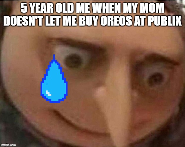 gru meme | 5 YEAR OLD ME WHEN MY MOM DOESN'T LET ME BUY OREOS AT PUBLIX | image tagged in gru meme | made w/ Imgflip meme maker