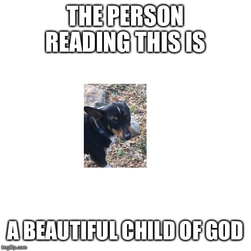 Blank Transparent Square Meme | THE PERSON READING THIS IS; A BEAUTIFUL CHILD OF GOD | image tagged in memes,blank transparent square | made w/ Imgflip meme maker