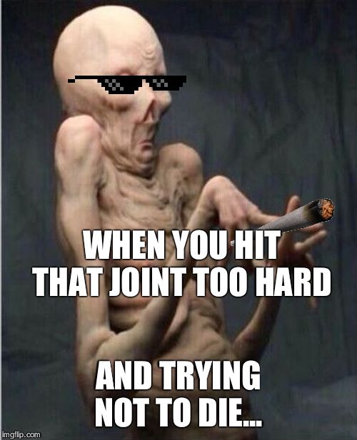 Grossed Out Alien | WHEN YOU HIT THAT JOINT TOO HARD; AND TRYING NOT TO DIE... | image tagged in grossed out alien | made w/ Imgflip meme maker
