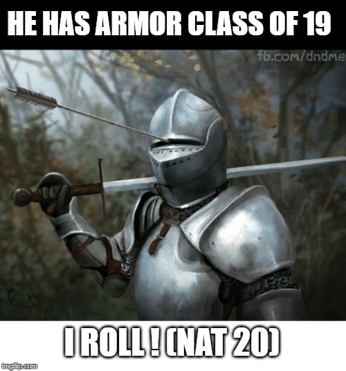 HE HAS ARMOR CLASS OF 19; I ROLL ! (NAT 20) | image tagged in dungeons and dragons | made w/ Imgflip meme maker