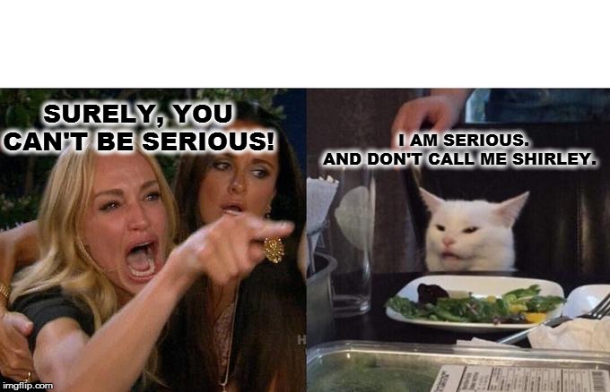 Woman Yelling At Cat | SURELY, YOU 
CAN'T BE SERIOUS! I AM SERIOUS.
AND DON'T CALL ME SHIRLEY. | image tagged in memes,woman yelling at cat | made w/ Imgflip meme maker