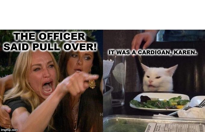 Woman Yelling At Cat | THE OFFICER 
SAID PULL OVER! IT WAS A CARDIGAN, KAREN. | image tagged in memes,woman yelling at cat | made w/ Imgflip meme maker