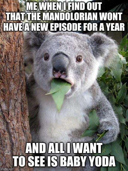 Surprised Koala Meme | ME WHEN I FIND OUT THAT THE MANDOLORIAN WONT HAVE A NEW EPISODE FOR A YEAR; AND ALL I WANT TO SEE IS BABY YODA | image tagged in memes,surprised koala | made w/ Imgflip meme maker