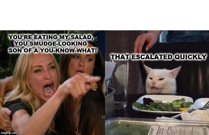 Woman Yelling At Cat | YOU'RE EATING MY SALAD, 
   YOU SMUDGE-LOOKING 
SON OF A YOU-KNOW-WHAT! THAT ESCALATED QUICKLY | image tagged in memes,woman yelling at cat | made w/ Imgflip meme maker