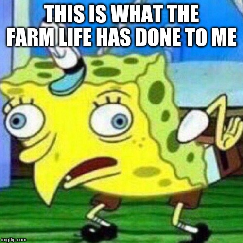 triggerpaul | THIS IS WHAT THE FARM LIFE HAS DONE TO ME | image tagged in triggerpaul | made w/ Imgflip meme maker