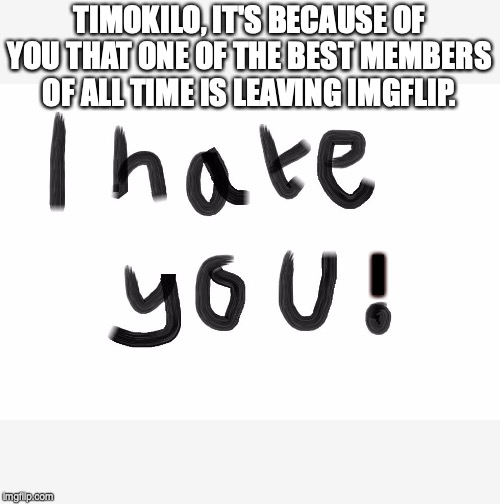 I HATE YOU | TIMOKILO, IT'S BECAUSE OF YOU THAT ONE OF THE BEST MEMBERS OF ALL TIME IS LEAVING IMGFLIP. I | image tagged in i hate you | made w/ Imgflip meme maker