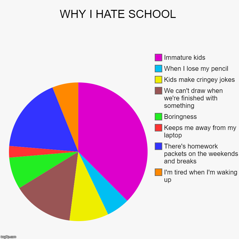 WHY I HATE SCHOOL | I'm tired when I'm waking up, There's homework packets on the weekends and breaks, Keeps me away from my laptop, Boringn | image tagged in charts,pie charts | made w/ Imgflip chart maker