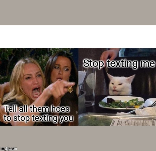 Woman Yelling At Cat Meme | Stop texting me; Tell all them hoes to stop texting you | image tagged in memes,woman yelling at cat | made w/ Imgflip meme maker