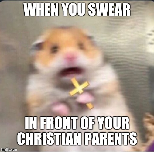 shook christian hamster | WHEN YOU SWEAR; IN FRONT OF YOUR CHRISTIAN PARENTS | image tagged in shook christian hamster | made w/ Imgflip meme maker