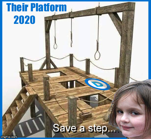 Democrat 2020 | image tagged in democrats,democrat 2020,election,traitors,political meme,lol so funny | made w/ Imgflip meme maker
