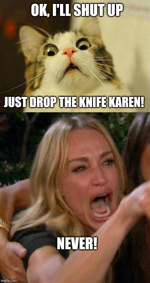 Lady threatening cat | OK, I'LL SHUT UP; JUST DROP THE KNIFE KAREN! NEVER! | image tagged in memes,scared cat,lady yelling at cat | made w/ Imgflip meme maker