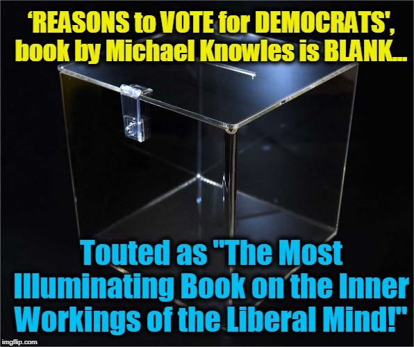 Lefty lawyers require: "The book is mostly blank & contains 1,235 words." | ‘REASONS to VOTE for DEMOCRATS', book by Michael Knowles is BLANK…; Touted as "The Most Illuminating Book on the Inner Workings of the Liberal Mind!" | image tagged in politics,political meme,politics lol,political humor,politicians,funny memes | made w/ Imgflip meme maker