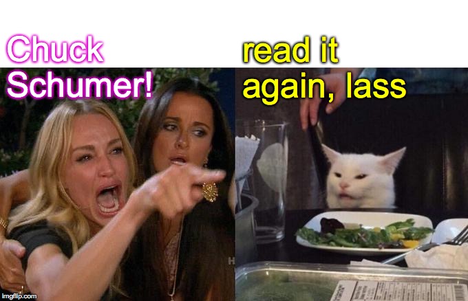 Woman Yelling At Cat Meme | Chuck Schumer! read it again, lass | image tagged in memes,woman yelling at cat | made w/ Imgflip meme maker