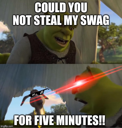 Shrek For Five Minutes | COULD YOU NOT STEAL MY SWAG; FOR FIVE MINUTES!! | image tagged in shrek for five minutes | made w/ Imgflip meme maker