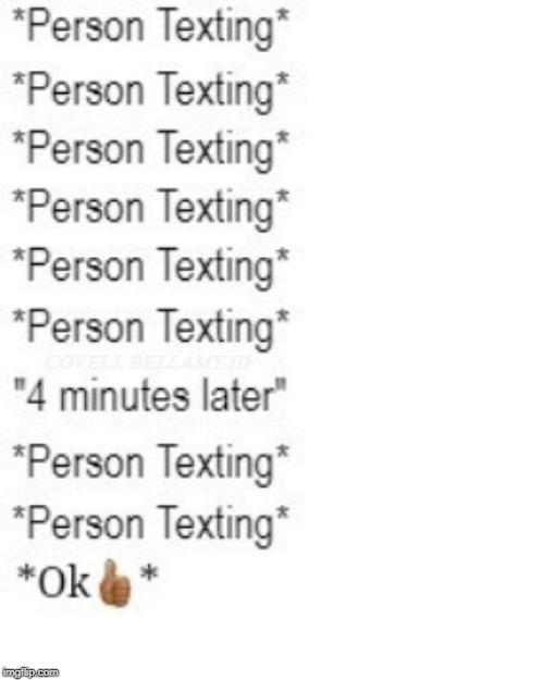 A Person Taking To Long To Text | image tagged in a person taking to long to text | made w/ Imgflip meme maker