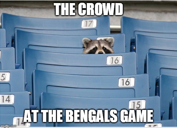 CINCINNATI IS TERRIBLE THIS YEAR |  THE CROWD; AT THE BENGALS GAME | image tagged in bengals,nfl | made w/ Imgflip meme maker