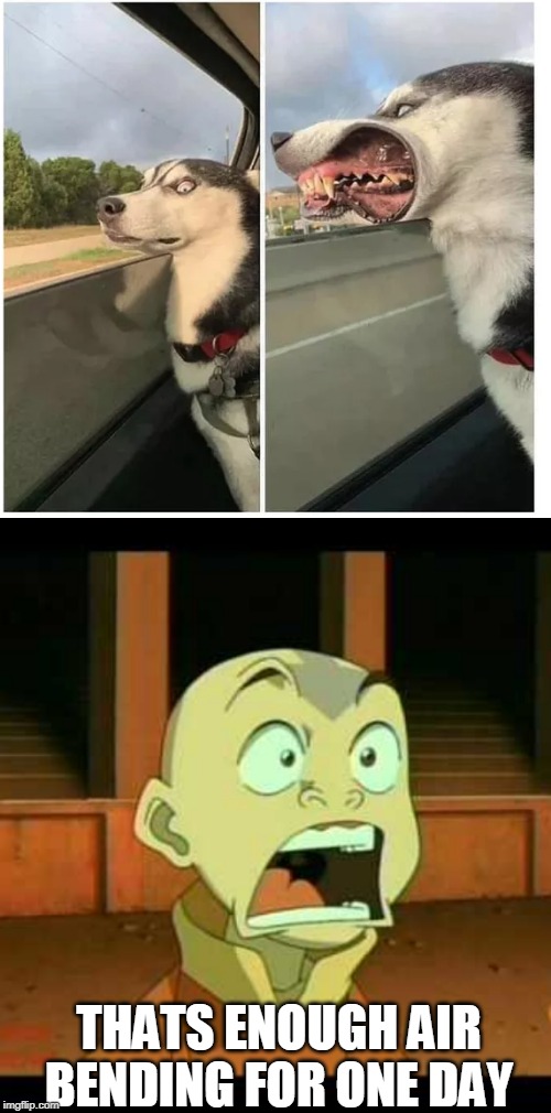 THAT DOG LOOKS POSSESSED |  THATS ENOUGH AIR BENDING FOR ONE DAY | image tagged in memes,dog,avatar the last airbender,wtf | made w/ Imgflip meme maker