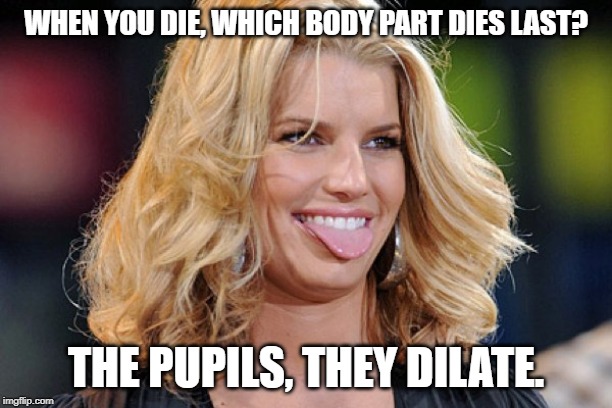 which body part dies first? | WHEN YOU DIE, WHICH BODY PART DIES LAST? THE PUPILS, THEY DILATE. | image tagged in ditzy blonde,pun,eyeballs die last | made w/ Imgflip meme maker