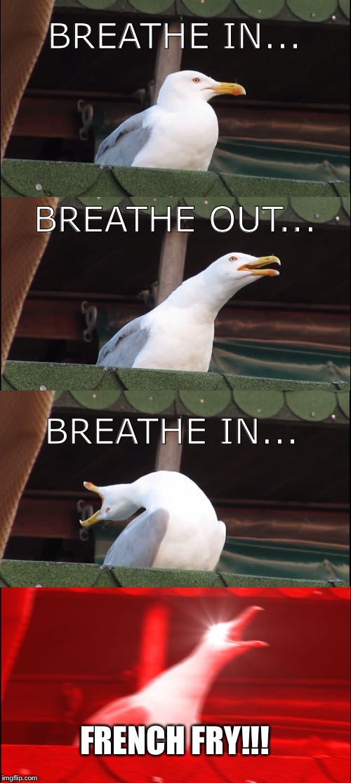 FRENCH FRY!!! | BREATHE IN... BREATHE OUT... BREATHE IN... FRENCH FRY!!! | image tagged in memes,inhaling seagull | made w/ Imgflip meme maker