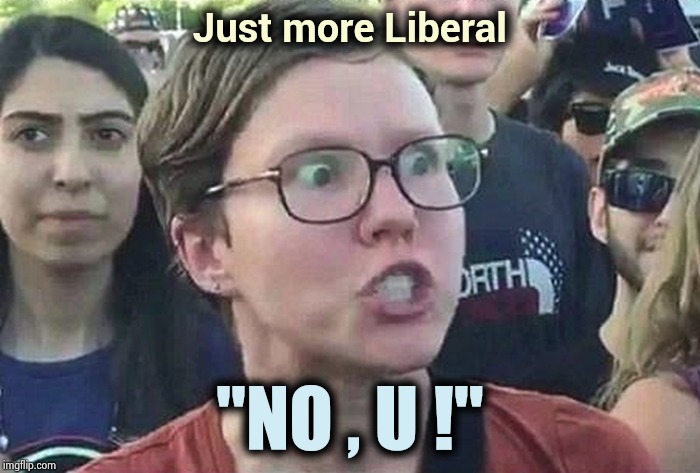 Triggered Liberal | Just more Liberal "NO , U !" | image tagged in triggered liberal | made w/ Imgflip meme maker