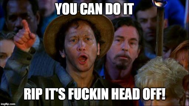 you can do it | YOU CAN DO IT RIP IT'S F**KIN HEAD OFF! | image tagged in you can do it | made w/ Imgflip meme maker