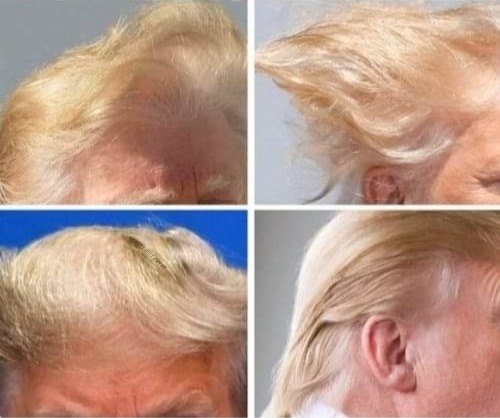 High Quality Donald Trump Hair President Obama Fan Club Blank Meme Template