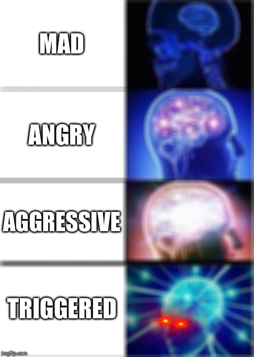 Different words for mad | MAD; ANGRY; AGGRESSIVE; TRIGGERED | image tagged in memes,expanding brain | made w/ Imgflip meme maker