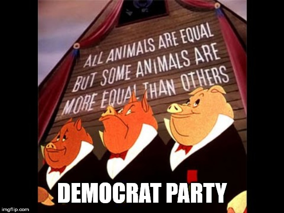 Animal Farm Pigs | DEMOCRAT PARTY | image tagged in animal farm pigs | made w/ Imgflip meme maker