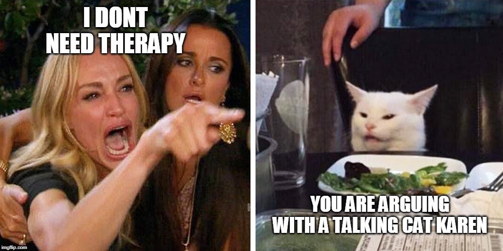 Smudge the cat | I DONT NEED THERAPY; YOU ARE ARGUING WITH A TALKING CAT KAREN | image tagged in smudge the cat | made w/ Imgflip meme maker