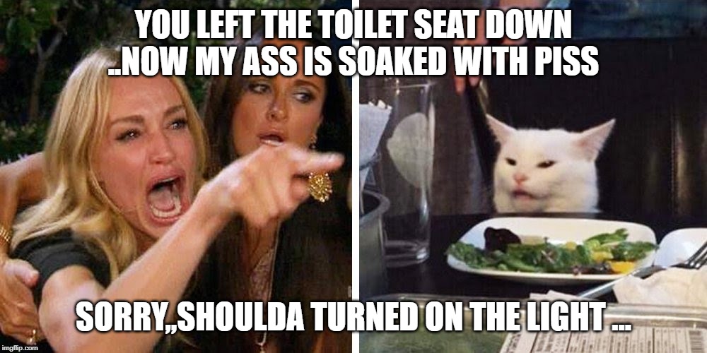 Smudge the cat | YOU LEFT THE TOILET SEAT DOWN ..NOW MY ASS IS SOAKED WITH PISS; SORRY,,SHOULDA TURNED ON THE LIGHT ... | image tagged in smudge the cat | made w/ Imgflip meme maker