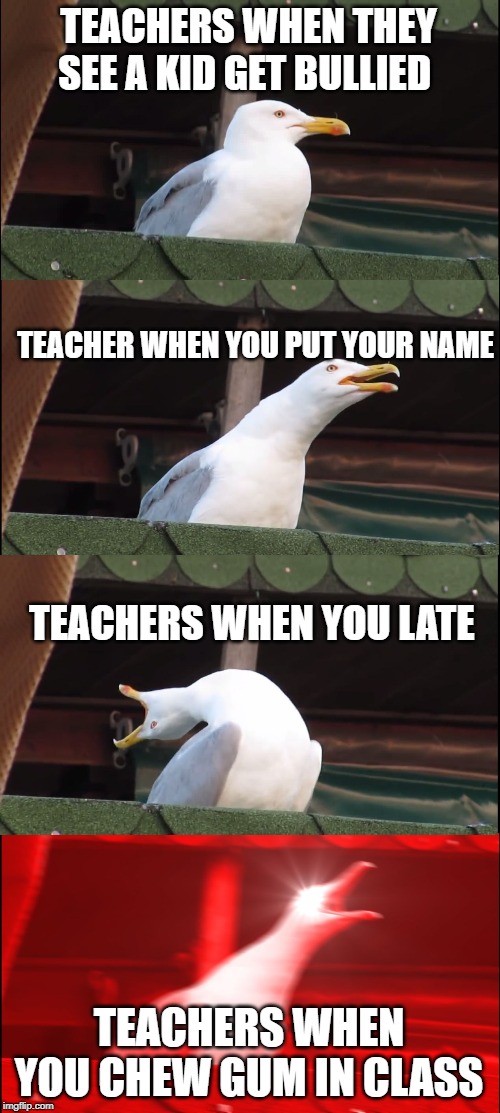 Inhaling Seagull | TEACHERS WHEN THEY SEE A KID GET BULLIED; TEACHER WHEN YOU PUT YOUR NAME; TEACHERS WHEN YOU LATE; TEACHERS WHEN YOU CHEW GUM IN CLASS | image tagged in memes,inhaling seagull | made w/ Imgflip meme maker