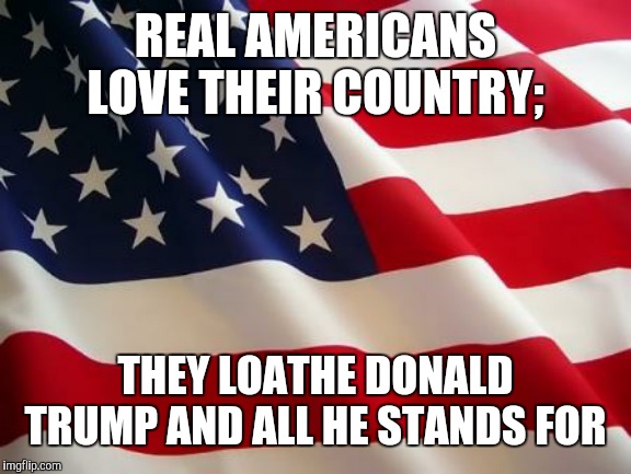 American flag | REAL AMERICANS LOVE THEIR COUNTRY;; THEY LOATHE DONALD TRUMP AND ALL HE STANDS FOR | image tagged in american flag | made w/ Imgflip meme maker