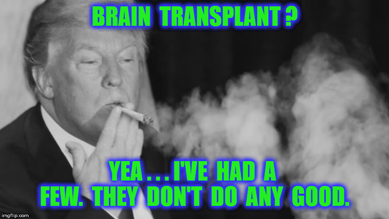 BRAIN  TRANSPLANT ? YEA . . . I'VE  HAD  A  FEW.  THEY  DON'T  DO  ANY  GOOD. | made w/ Imgflip meme maker