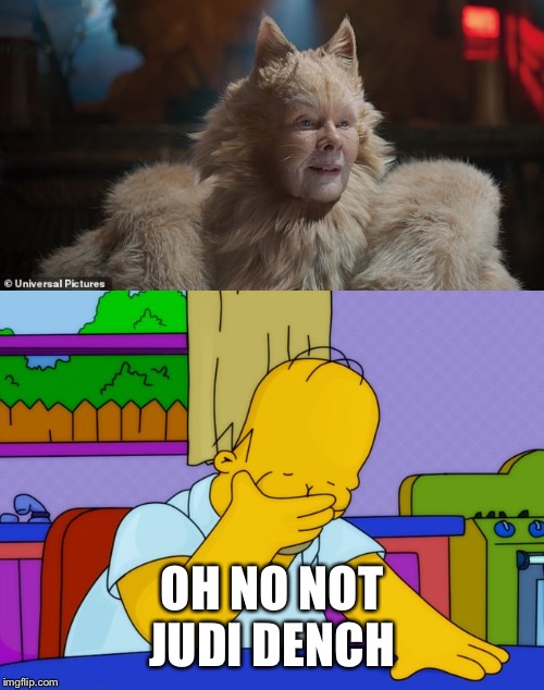 OH NO NOT JUDI DENCH | image tagged in judi dench cats | made w/ Imgflip meme maker