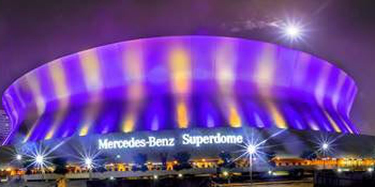 High Quality Superdome purple and gold Blank Meme Template
