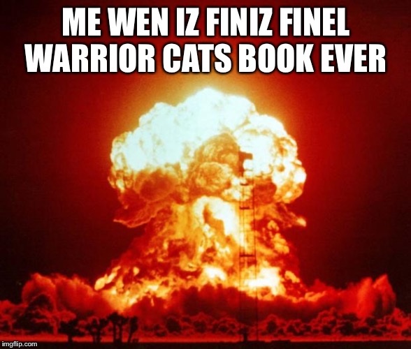 Nuke | ME WEN IZ FINIZ FINEL WARRIOR CATS BOOK EVER | image tagged in nuke | made w/ Imgflip meme maker