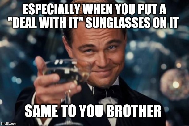 Leonardo Dicaprio Cheers Meme | ESPECIALLY WHEN YOU PUT A "DEAL WITH IT" SUNGLASSES ON IT SAME TO YOU BROTHER | image tagged in memes,leonardo dicaprio cheers | made w/ Imgflip meme maker