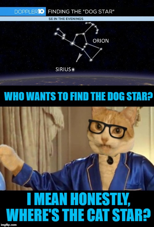 Catmember | WHO WANTS TO FIND THE DOG STAR? I MEAN HONESTLY, WHERE'S THE CAT STAR? | image tagged in memes,cat memes,austin powers honestly,astronomy,cat | made w/ Imgflip meme maker