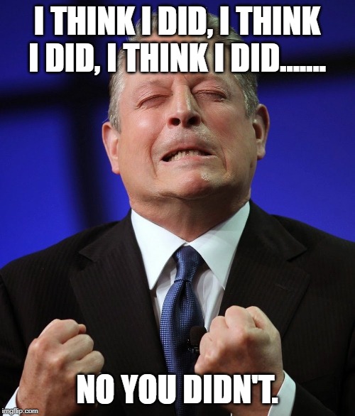 He claims he invented the internet sometime before he made billions with his fairytale movie. | I THINK I DID, I THINK I DID, I THINK I DID....... NO YOU DIDN'T. | image tagged in al gore | made w/ Imgflip meme maker