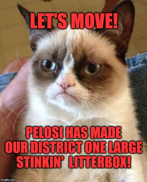 Grumpy Cat | LET'S MOVE! PELOSI HAS MADE OUR DISTRICT ONE LARGE STINKIN'  LITTERBOX! | image tagged in memes,grumpy cat | made w/ Imgflip meme maker